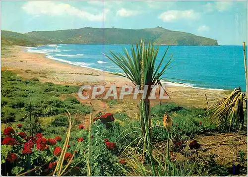 Cartes postales moderne Palinuro Vue des Salines