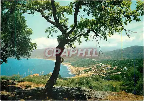 Cartes postales moderne Palinuro Panoram vu d'en Haut