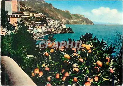 Cartes postales moderne Amalfi Panorama