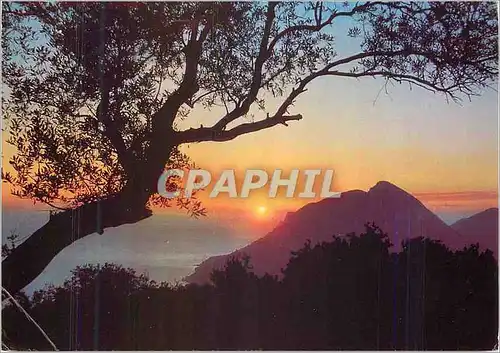 Cartes postales moderne Corfu Pedecas