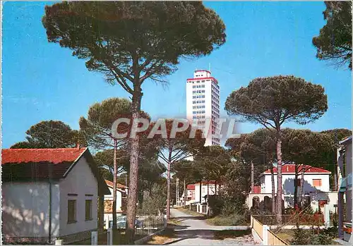 Cartes postales moderne Milano Marittima Le Gratte Cie entre les pins