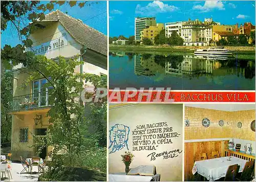 Cartes postales moderne Piestany Bacchus Vila