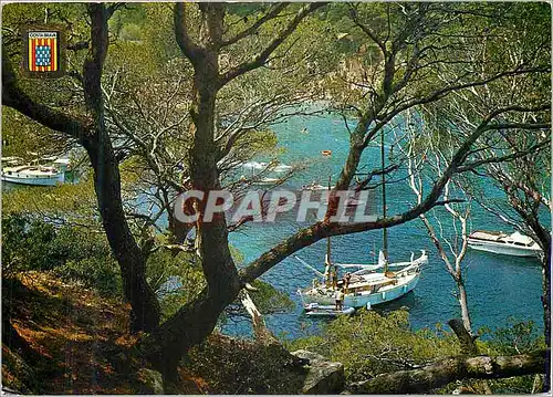 Cartes postales moderne Costa Brava Detail