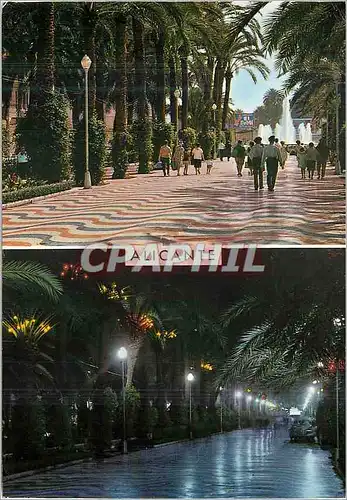 Cartes postales moderne Alicante Beautes de la ville