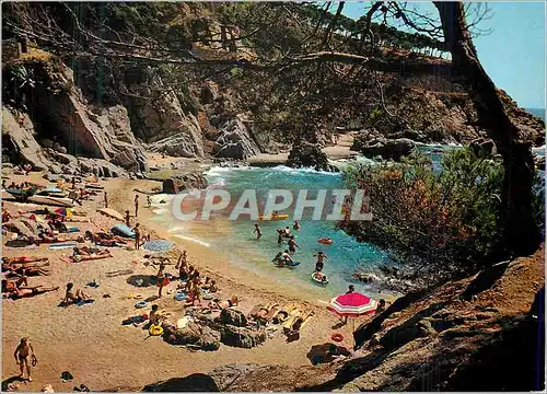 Cartes postales moderne Costa Brava Loret de Mar Cala d'en Trons