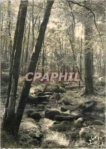Cartes postales moderne Huelgoat (Finistere)Ruisseau dans la foret
