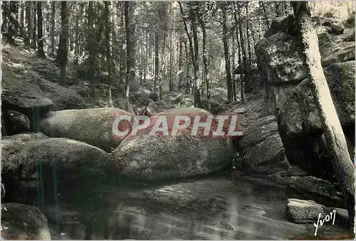 Cartes postales moderne Huelgoat (Finistere)La mare aux sangliers