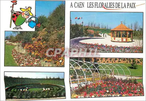 Cartes postales moderne A Caen Les Floralies de la paix Colline aux oieseau pres du Memorial