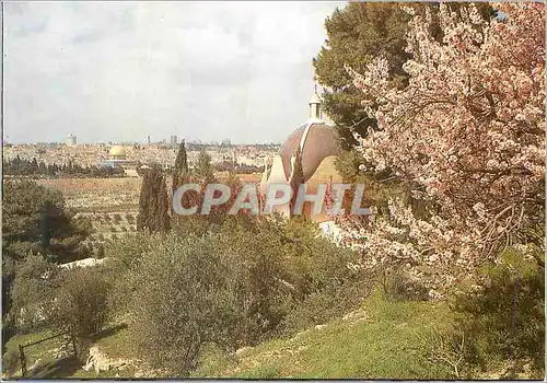 Cartes postales moderne Jerusalem Dominus Flevit