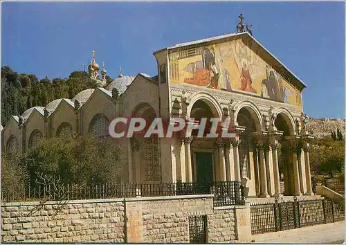 Cartes postales moderne Jerusalem Basilique et Jardin de Gethsemani