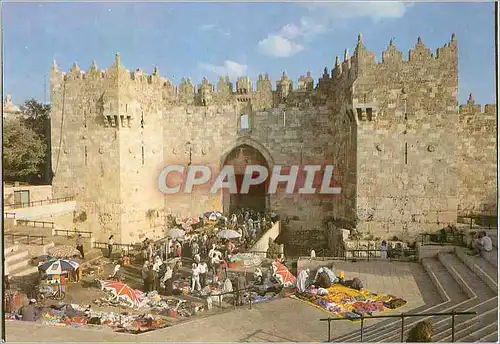 Cartes postales moderne Jerusalem La porte de Damas