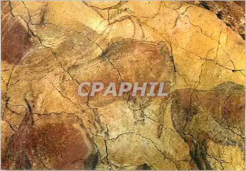 Cartes postales moderne Cuevas de Altamira Santillana del Mar (Santander)Conjoint du loit