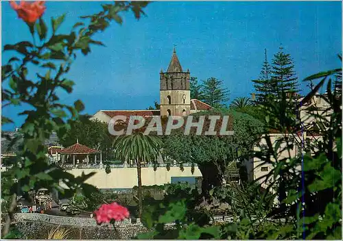 Cartes postales moderne Icod de Loas Vinos The thousands of years old Dragon Tree