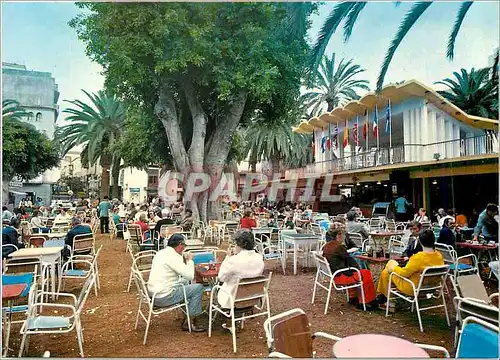 Cartes postales moderne Tenerife (Puerto de la Cruz)Place du Charco