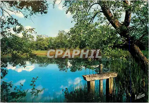 Cartes postales moderne En Sologne L'etang a la Vanne