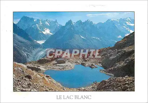 Moderne Karte Le Lac Blanc au fond la Mer de Glace les Aiguilles de Chemont et le Mont Blanc