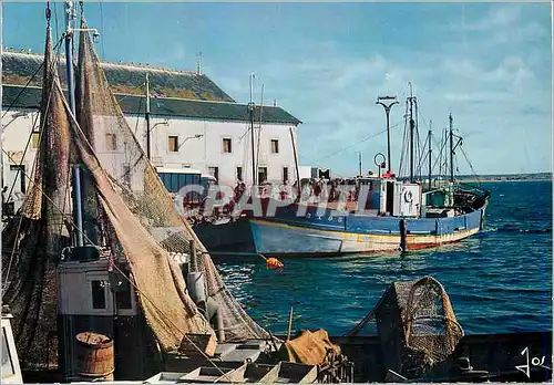 Cartes postales moderne La bretagne en couleurs Le Croisic (Loire Atlantique)Bateaux devant la Criee Bateaux de peche