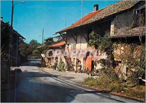 Cartes postales moderne Campagne Genevoise Vue de Cartigny