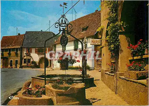 Cartes postales moderne Westhalten (Haut Rhin) sur la route du vin Le vieux puits