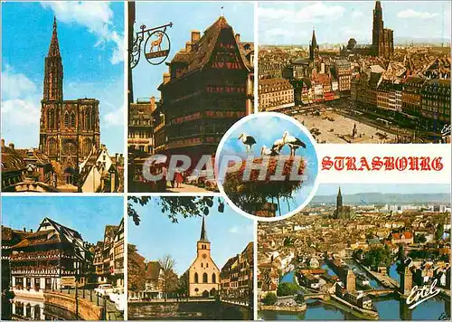Cartes postales moderne Au Pay de Cigognes Strasbourg (Bas Rhin)La Facade de la cathedrale
