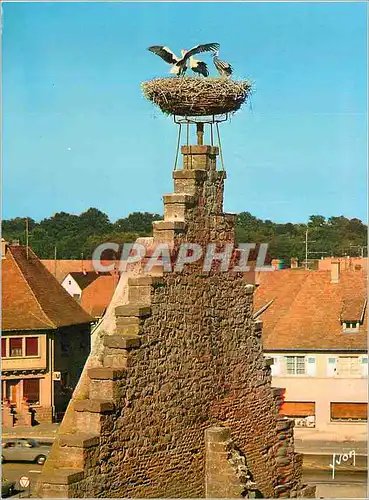 Moderne Karte Couleurs et Lumiere de France L'Alsace Ostheim (Haut Rhin) Nid de Cigognes