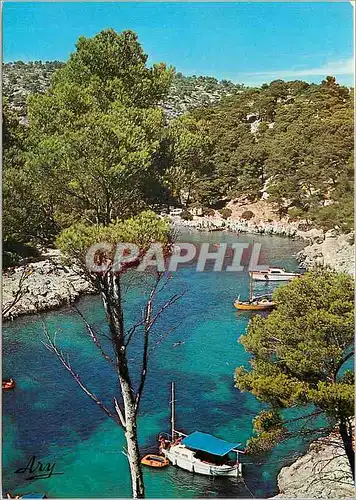Cartes postales moderne Nos belles Calanques Pres de Cassi Port Pin