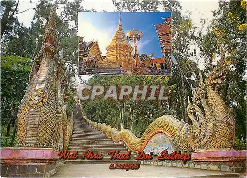 Cartes postales moderne A Naga Stair Case To Wat Phra Thad Doi Suthep Chiangmai Dragon