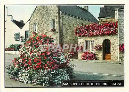 Moderne Karte Maison fleurie de Bretagne