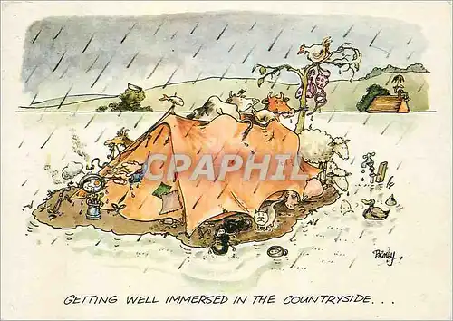 Cartes postales moderne Getting well immersed in the countryside