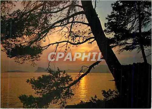 Cartes postales moderne Reflets de la Mediterranee Coucher de soleil dans un festival de couleurs