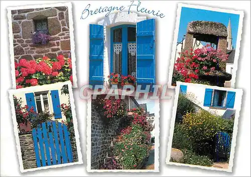 Cartes postales moderne Bretagne Fleurie Une Certaine Idee de l'Harmonie