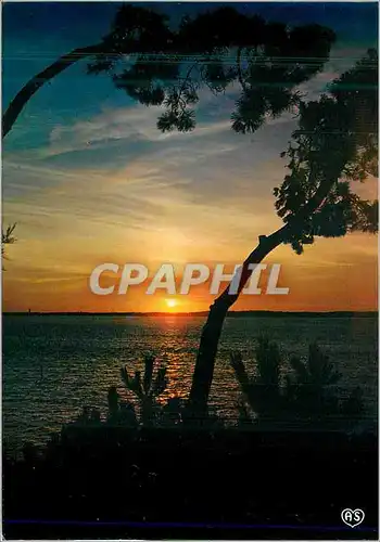 Cartes postales moderne Soleil Poeme