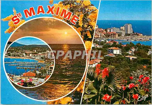 Cartes postales moderne La Cote d'Azur Varoise Sainte Maxime (Var)La ville et port Coucher de soleil vue d'ensemble