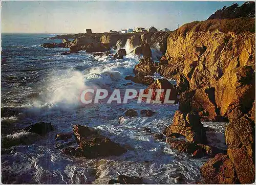 Cartes postales moderne Couleurs de Bretagne La cote d'amour le Croisic La cote sauvage