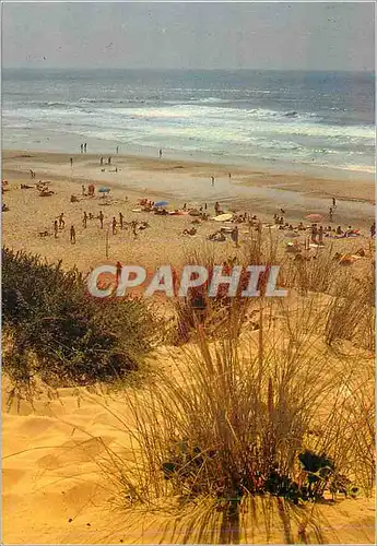 Cartes postales moderne Poeme