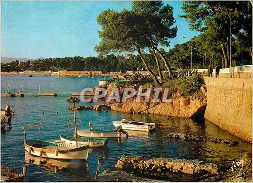 Cartes postales moderne Couleurs et Lumiere de France La cote d'Azur Miracle de la nature Cap d'Antibes (Alpes Maritimes