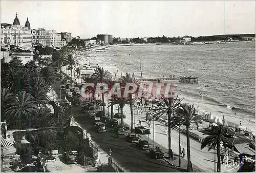 Cartes postales moderne La cote d'Azur Cannes Promenade de la Croisette