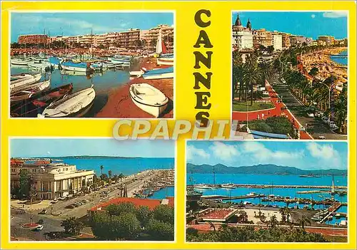 Cartes postales moderne Cannes Souvenir de Cannes