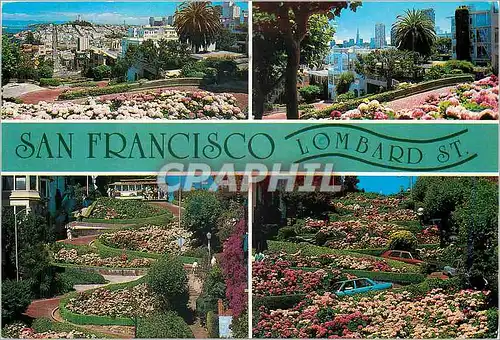 Cartes postales moderne A San Francisco Favorite Lombard The Crookedest Street in the World