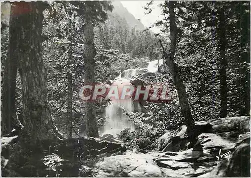 Cartes postales moderne Env de Cauterets (Htes Pyrenees)Cascade du Pont d'Espagne