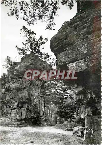 Cartes postales moderne Saint Die (Vosges)Les roches Saint Marlin