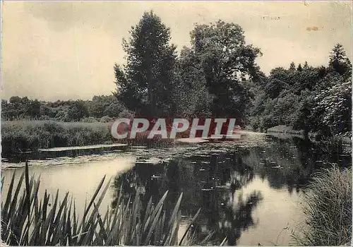 Cartes postales moderne Rugles (Eure)La Riste a travers les pres