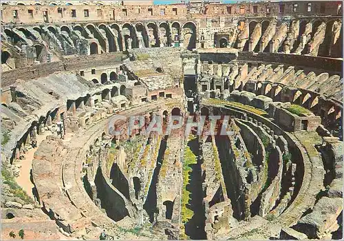 Cartes postales moderne Roma interieur du Colisee (Detail)