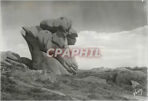 Cartes postales moderne Ploumanac'h en Perrso Guirec (Cotes du Nord)Le belier