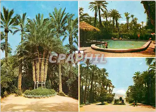 Cartes postales moderne Elche (Alicante)Vues de la villa