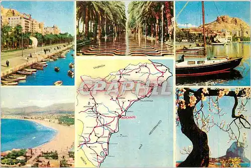 Cartes postales moderne Alicante (Espana)Cote Blanche