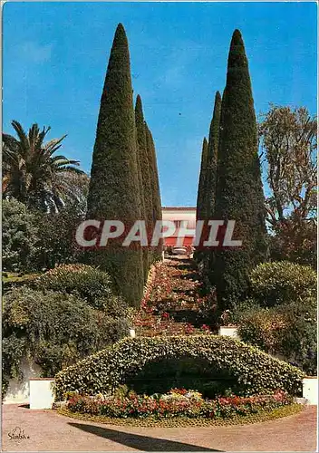 Cartes postales moderne Le Cannet Cote d'Azur Yakymour