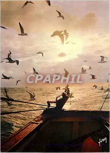 Cartes postales moderne Couleurs et Lumiere de France Peche en Mer Bateaux