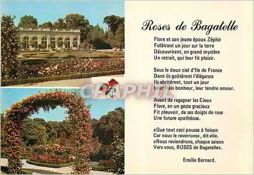 Cartes postales moderne Parc de Bagatelle L'Orangerie La Roseraie