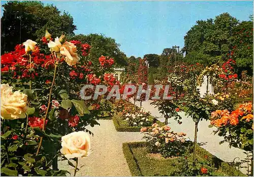Cartes postales moderne Paris Bagatelle La Roseraie